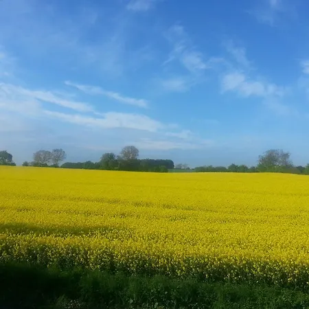 Oda ve Kahvaltı Jungshoved 3*