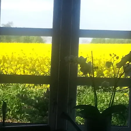 Jungshoved Bed & Breakfast 3*