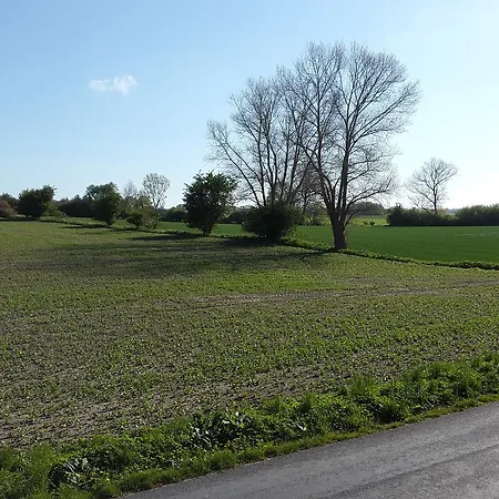 Oda ve Kahvaltı Jungshoved