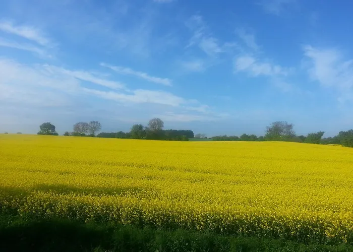 Bed & Breakfast Jungshoved 3*