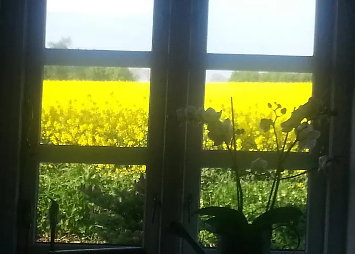 Jungshoved Bed & Breakfast 3*